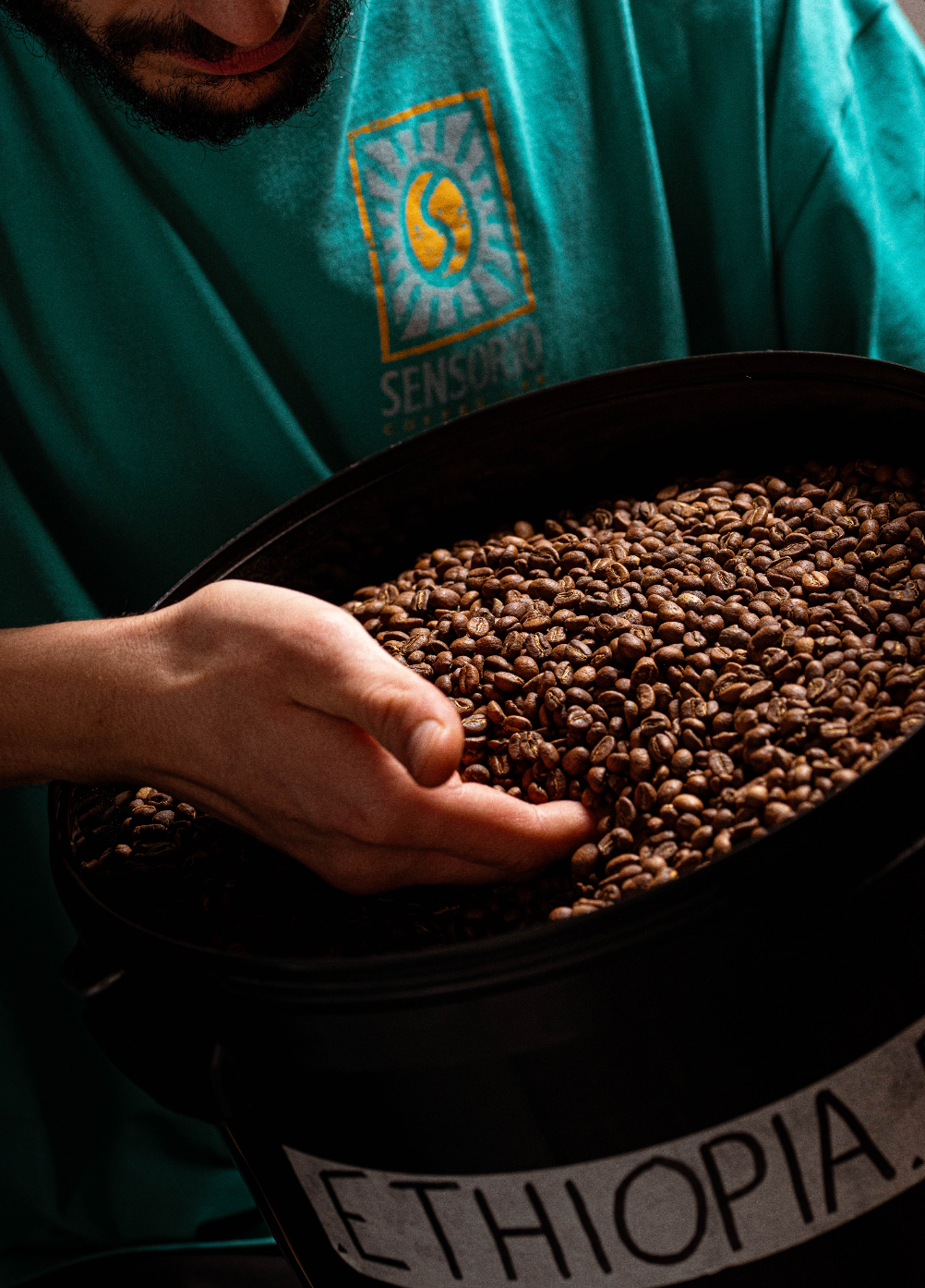Come il terroir influisce sul sapore del Caffè Specialty – Sensorio ...