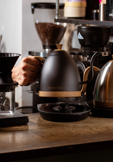 Kettle Brewista Artisan